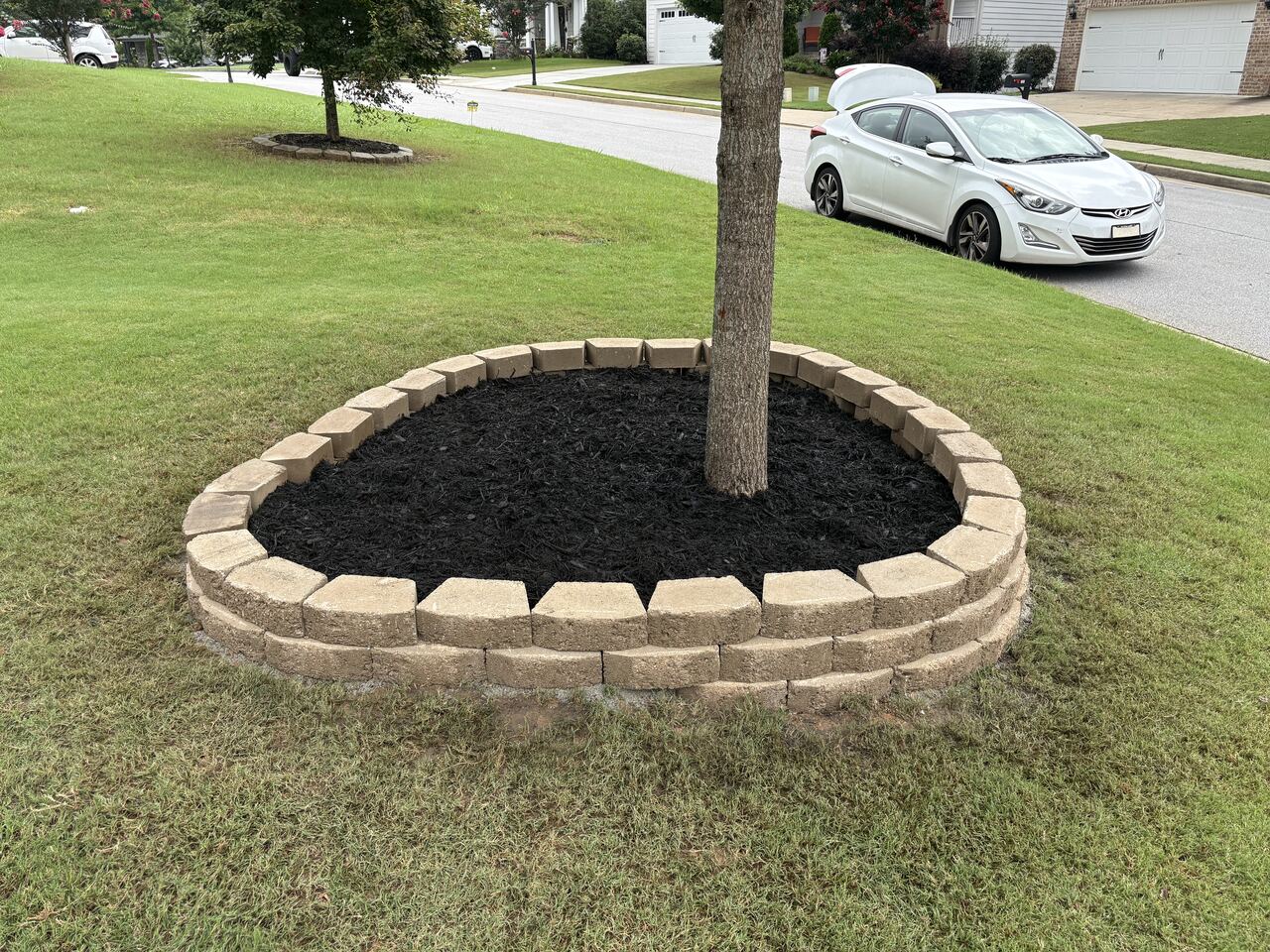 Second tree ring, curb-side
