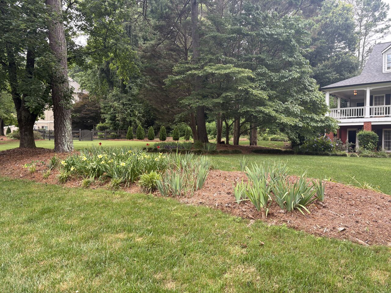 Beds mulched along the tree line