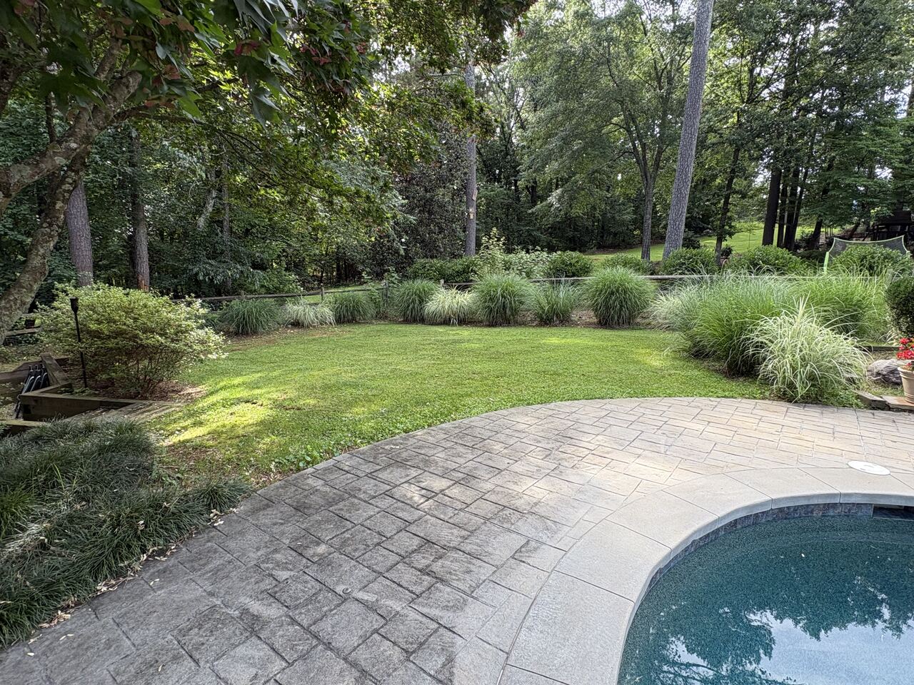 Backyard mowed wall to wall
