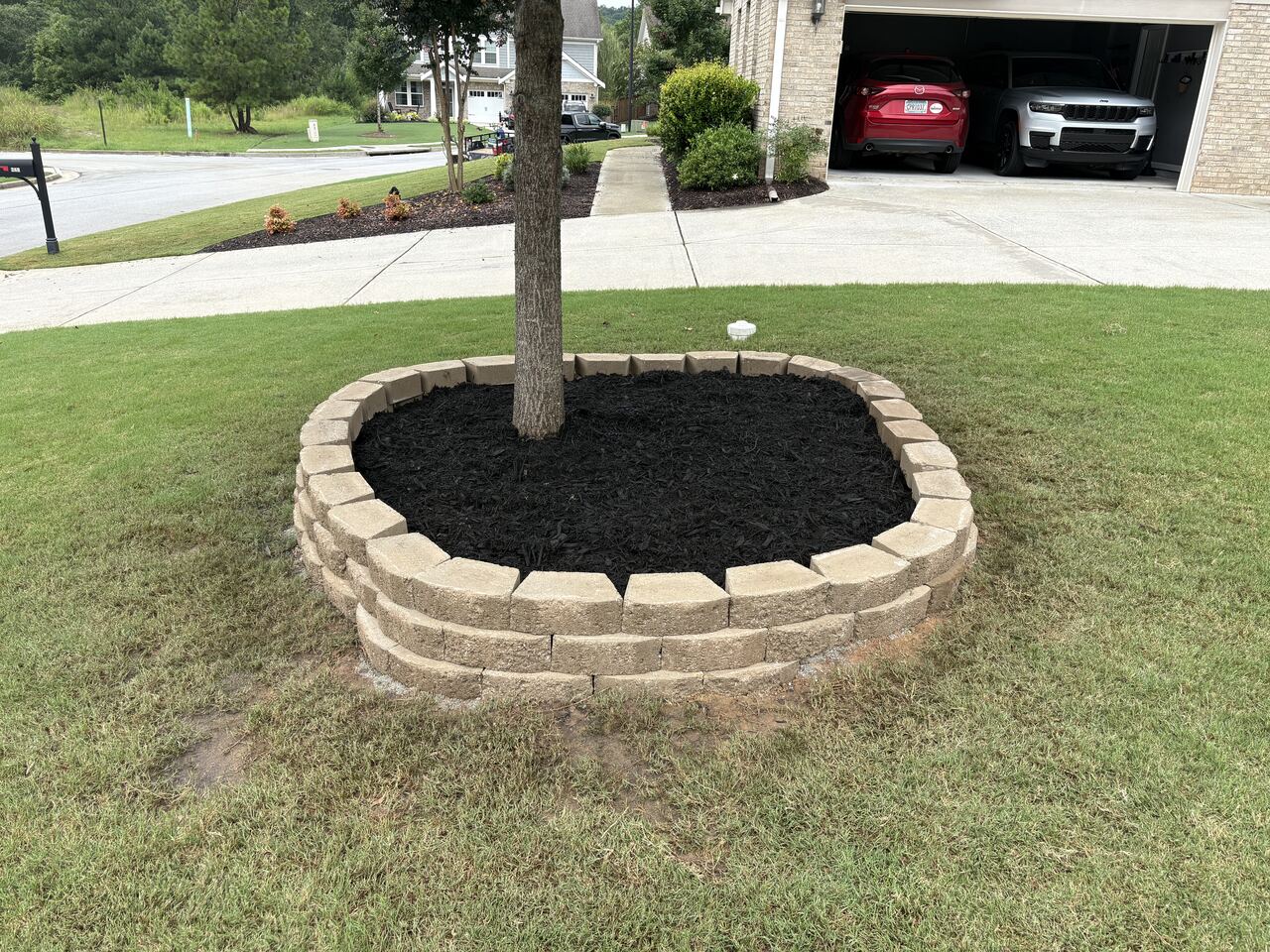 Fresh stone tree ring and mulch