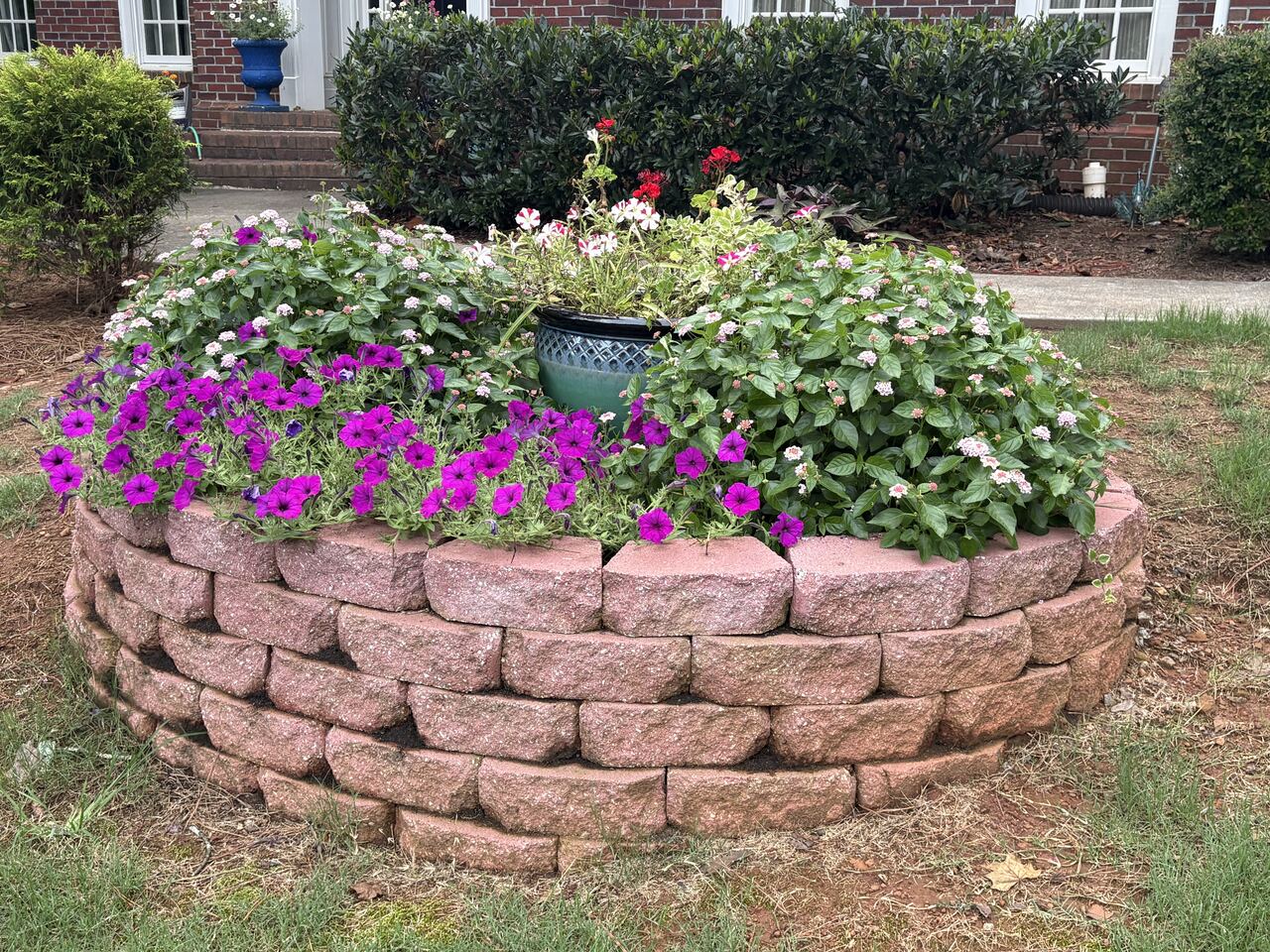 Raised bed in full summer color